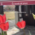 ピットーレ岩原本店　🌱春になると一気にいろいろな花が咲きます。