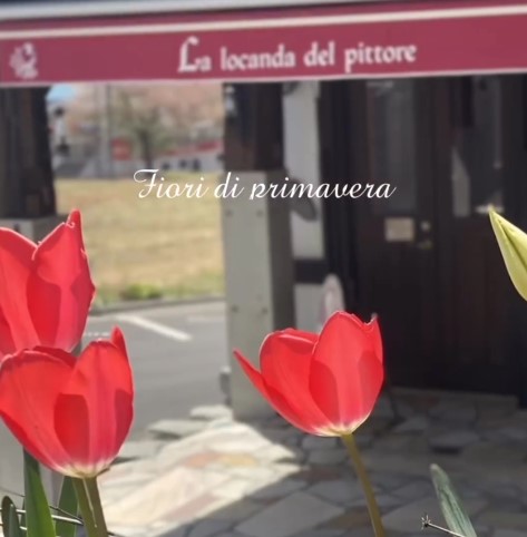 ピットーレ岩原本店　🌱春になると一気にいろいろな花が咲きます。