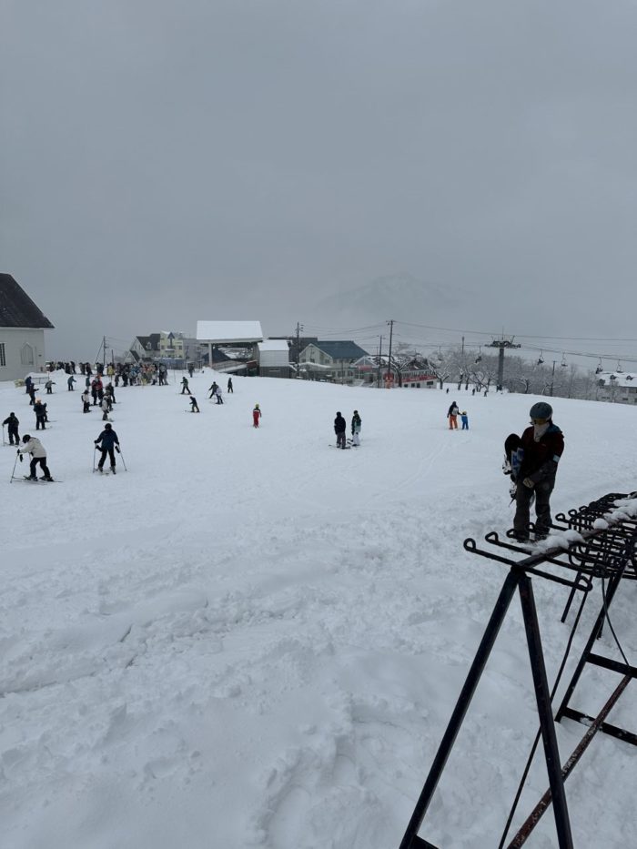 ピットーレ岩原本店　昨晩も少し降りました。