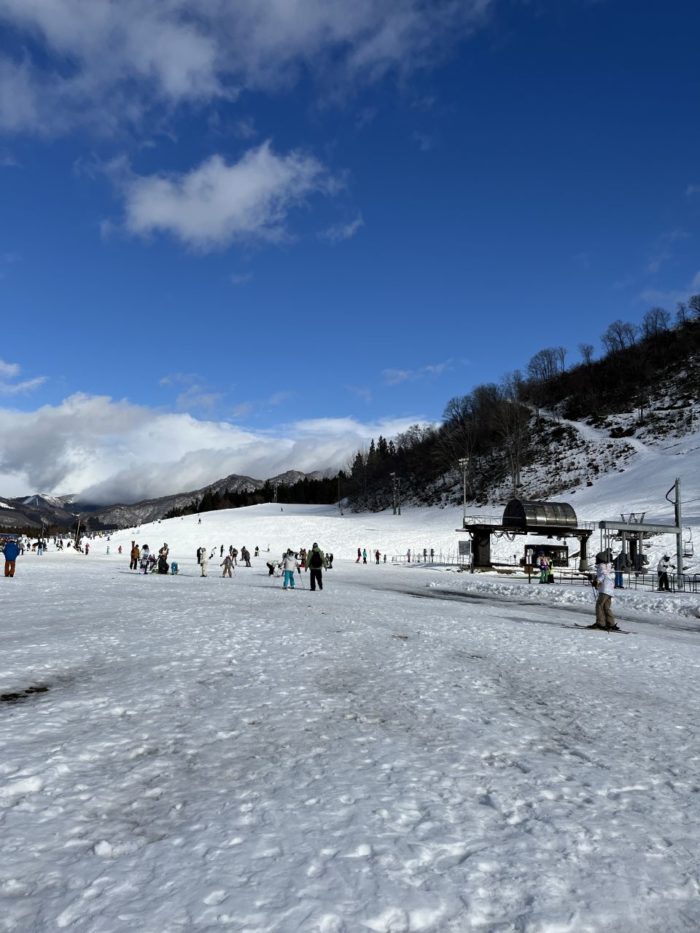 中里パオリーノ　本格オープンしました！